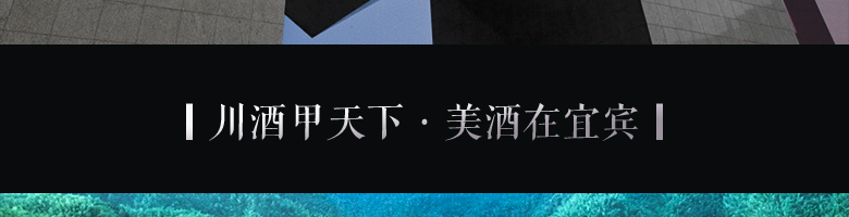 52°密鑒（鑒賞·藝術）500ml 五糧液股份有限公司出品